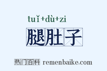 腿肚子是什么意思的图片